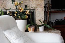 Coccole a Bassano B&B San Fortunato